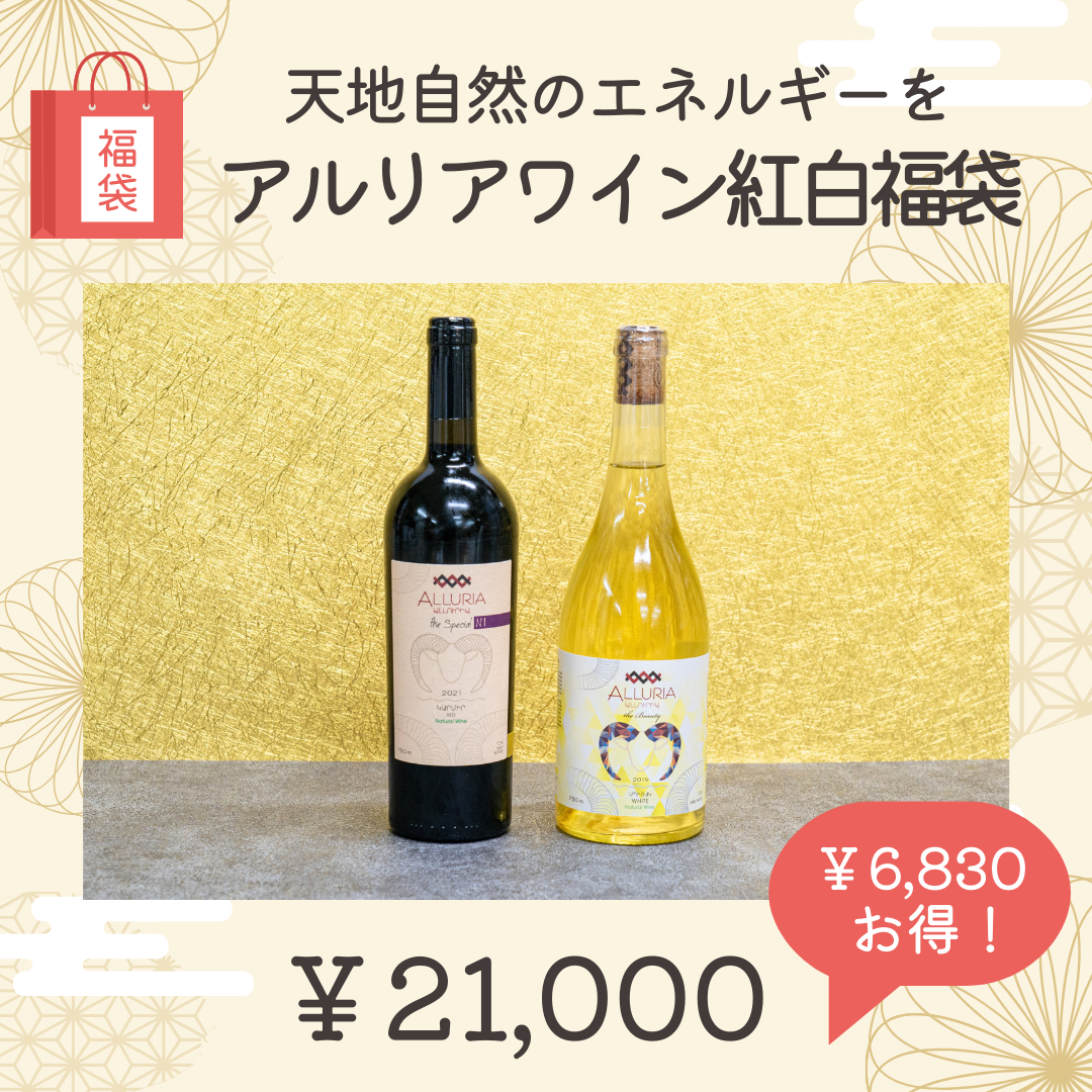 ⑤アルリアワイン紅白福袋～天地自然のエネルギーを～