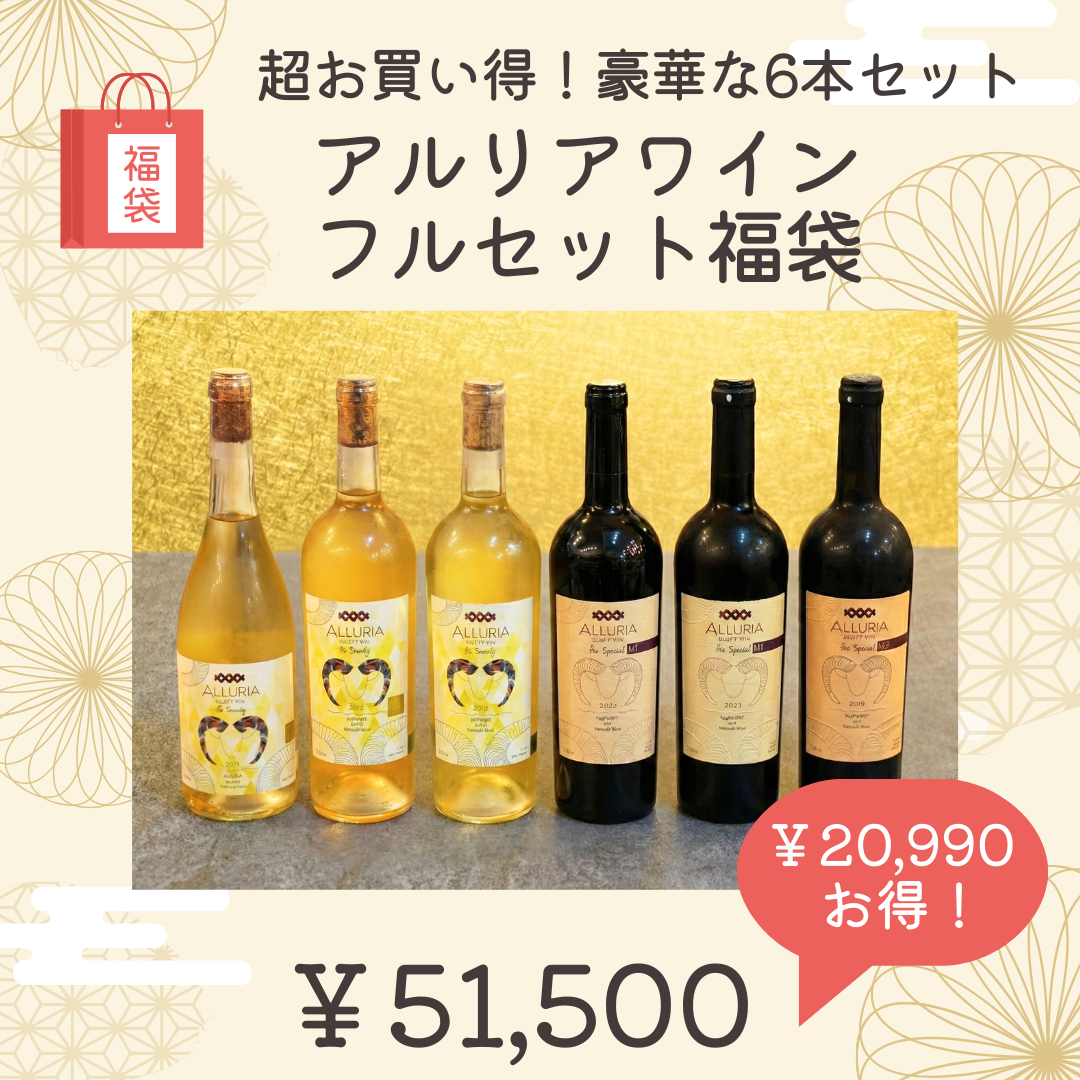 ⑥アルリアワインフルセット福袋～超お買い得！豪華な6本セット～