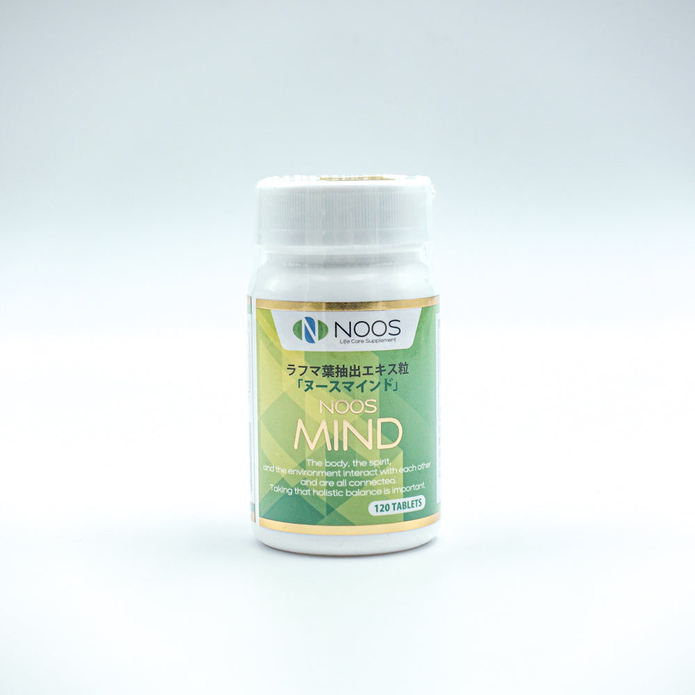 【ヌース　マインド】